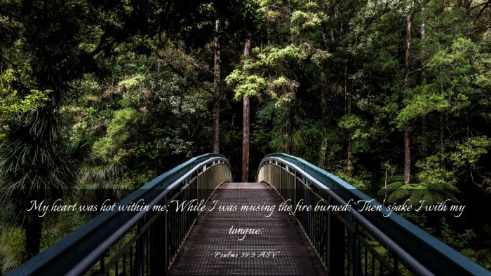 Picture 03 - Psalms 39:3 ASV Desktop Wallpaper - My heart was hot within me; While I was musing - Desktop Bible Verse Wallpaper