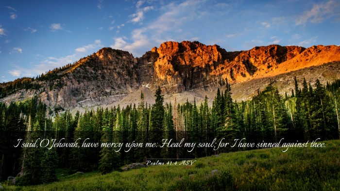 Picture 03 - Psalms 41:4 ASV Desktop Wallpaper - I said, O Jehovah, have mercy upon me: Heal my - Desktop Bible Verse Wallpaper