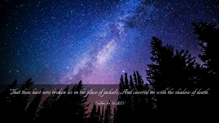 Picture 03 - Psalms 44:19 ASV Desktop Wallpaper - That thou hast sore broken us in the place of - Desktop Bible Verse Wallpaper