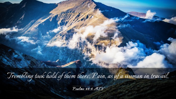 Picture 03 - Psalms 48:6 ASV Desktop Wallpaper - Trembling took hold of them there, Pain, as of a - Desktop Bible Verse Wallpaper