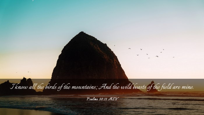 Picture 03 - Psalms 50:11 ASV Desktop Wallpaper - I know all the birds of the mountains; And the - Desktop Bible Verse Wallpaper