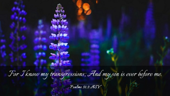 Picture 03 - Psalms 51:3 ASV Desktop Wallpaper - For I know my transgressions; And my sin is ever - Desktop Bible Verse Wallpaper