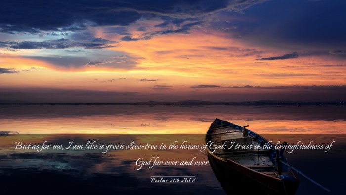 Picture 03 - Psalms 52:8 ASV Desktop Wallpaper - But as for me, I am like a green olive-tree in - Desktop Bible Verse Wallpaper