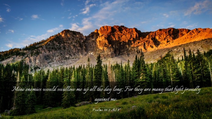Picture 03 - Psalms 56:2 ASV Desktop Wallpaper - Mine enemies would swallow me up all the day - Desktop Bible Verse Wallpaper