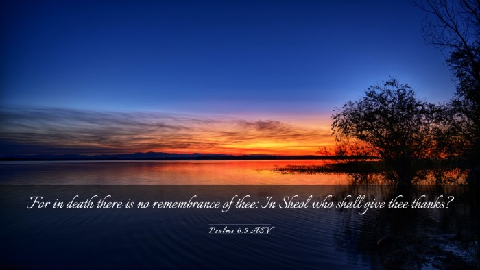 Picture 03 - Psalms 6:5 ASV Desktop Wallpaper - For in death there is no remembrance of thee: In - Desktop Bible Verse Wallpaper