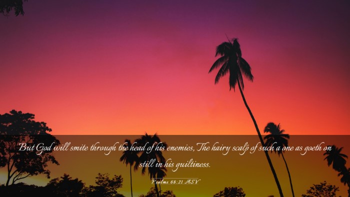 Picture 03 - Psalms 68:21 ASV Desktop Wallpaper - But God will smite through the head of his - Desktop Bible Verse Wallpaper