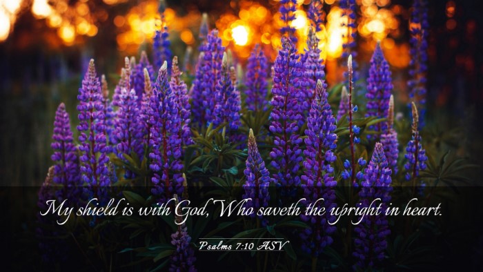 Picture 03 - Psalms 7:10 ASV Desktop Wallpaper - My shield is with God, Who saveth the upright in - Desktop Bible Verse Wallpaper