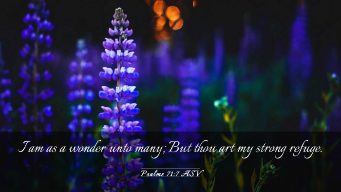 Picture 03 - Psalms 71:7 ASV Desktop Wallpaper - I am as a wonder unto many; But thou art my - Desktop Bible Verse Wallpaper