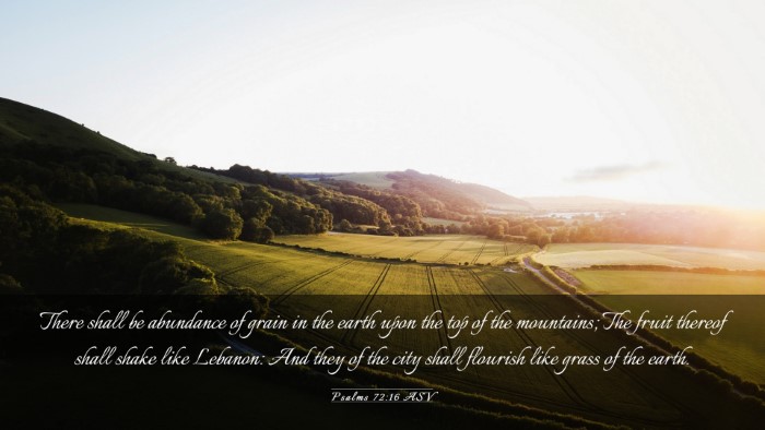 Picture 03 - Psalms 72:16 ASV Desktop Wallpaper - There shall be abundance of grain in the earth - Desktop Bible Verse Wallpaper