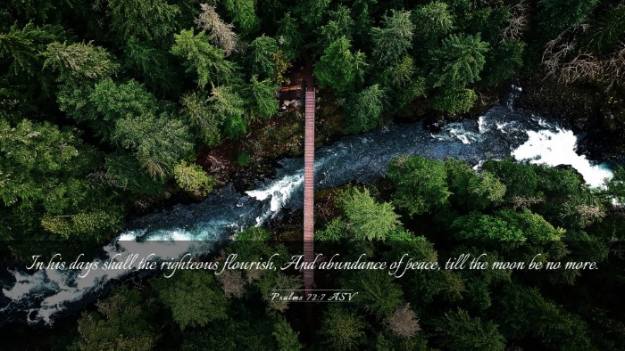 Picture 03 - Psalms 72:7 ASV Desktop Wallpaper - In his days shall the righteous flourish, And - Desktop Bible Verse Wallpaper