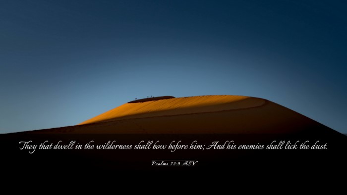 Picture 03 - Psalms 72:9 ASV Desktop Wallpaper - They that dwell in the wilderness shall bow - Desktop Bible Verse Wallpaper