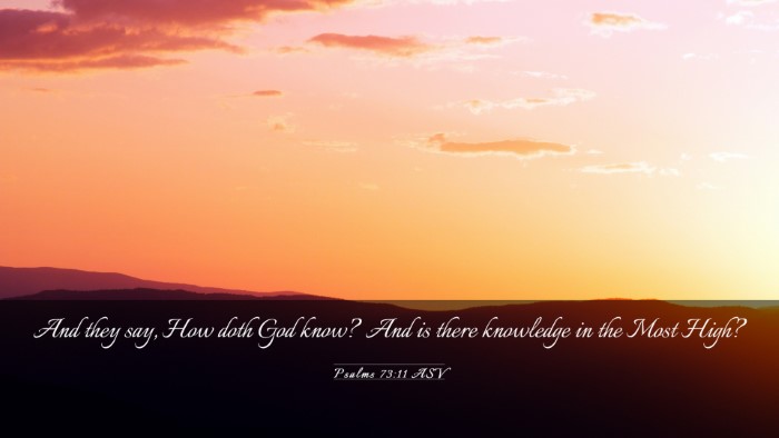 Picture 03 - Psalms 73:11 ASV Desktop Wallpaper - And they say, How doth God know? And is there - Desktop Bible Verse Wallpaper