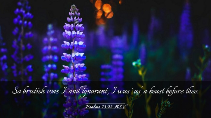 Picture 03 - Psalms 73:22 ASV Desktop Wallpaper - So brutish was I, and ignorant; I was `as' a - Desktop Bible Verse Wallpaper
