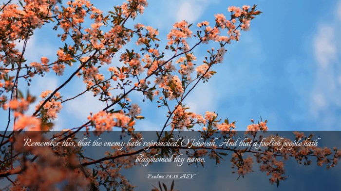 Picture 03 - Psalms 74:18 ASV Desktop Wallpaper - Remember this, that the enemy hath reproached, O - Desktop Bible Verse Wallpaper
