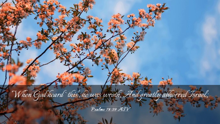 Picture 03 - Psalms 78:59 ASV Desktop Wallpaper - When God heard `this', he was wroth, And greatly - Desktop Bible Verse Wallpaper