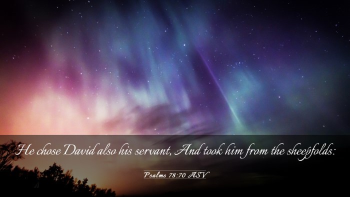 Picture 03 - Psalms 78:70 ASV Desktop Wallpaper - He chose David also his servant, And took him - Desktop Bible Verse Wallpaper