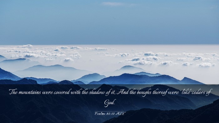 Picture 03 - Psalms 80:10 ASV Desktop Wallpaper - The mountains were covered with the shadow of it, - Desktop Bible Verse Wallpaper