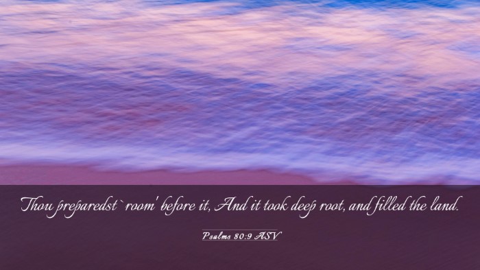 Picture 03 - Psalms 80:9 ASV Desktop Wallpaper - Thou preparedst `room' before it, And it took - Desktop Bible Verse Wallpaper