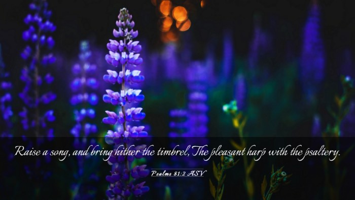 Picture 03 - Psalms 81:2 ASV Desktop Wallpaper - Raise a song, and bring hither the timbrel, The - Desktop Bible Verse Wallpaper