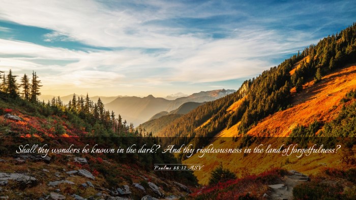 Picture 03 - Psalms 88:12 ASV Desktop Wallpaper - Shall thy wonders be known in the dark? And thy - Desktop Bible Verse Wallpaper