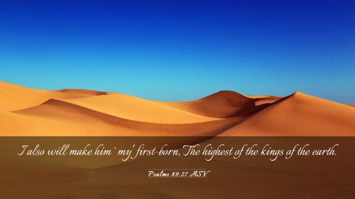 Picture 03 - Psalms 89:27 ASV Desktop Wallpaper - I also will make him `my' first-born, The highest - Desktop Bible Verse Wallpaper