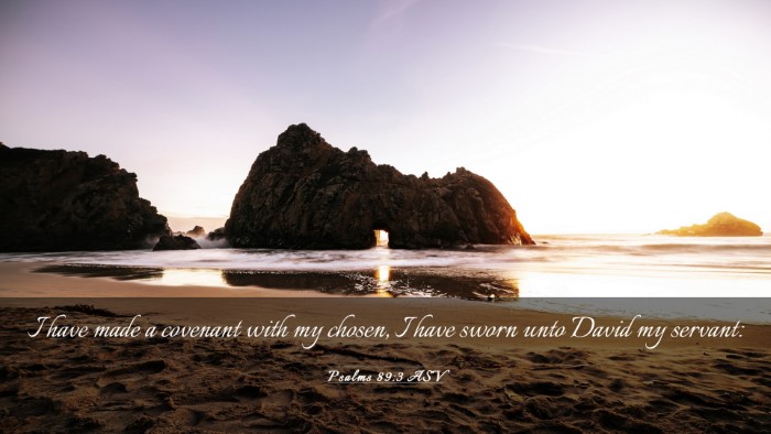 Picture 03 - Psalms 89:3 ASV Desktop Wallpaper - I have made a covenant with my chosen, I have - Desktop Bible Verse Wallpaper