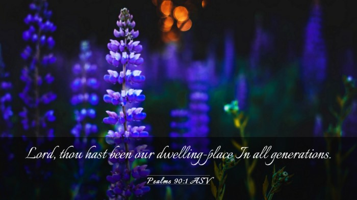 Picture 03 - Psalms 90:1 ASV Desktop Wallpaper - Lord, thou hast been our dwelling-place In all - Desktop Bible Verse Wallpaper