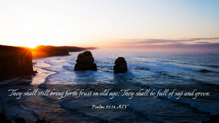 Picture 03 - Psalms 92:14 ASV Desktop Wallpaper - They shall still bring forth fruit in old age; - Desktop Bible Verse Wallpaper