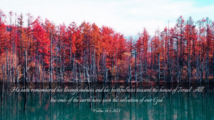 Picture 03 - Psalms 98:3 ASV Desktop Wallpaper - He hath remembered his lovingkindness and his - Desktop Bible Verse Wallpaper