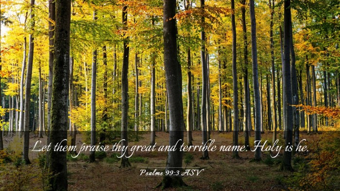 Picture 03 - Psalms 99:3 ASV Desktop Wallpaper - Let them praise thy great and terrible name: Holy - Desktop Bible Verse Wallpaper