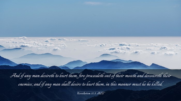Picture 03 - Revelation 11:5 ASV Desktop Wallpaper - And if any man desireth to hurt them, fire - Desktop Bible Verse Wallpaper