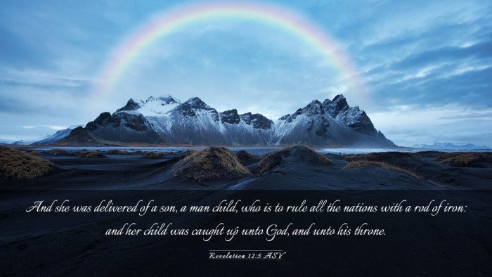 Picture 03 - Revelation 12:5 ASV Desktop Wallpaper - And she was delivered of a son, a man child, who - Desktop Bible Verse Wallpaper