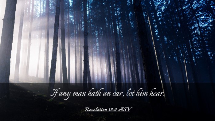 Picture 03 - Revelation 13:9 ASV Desktop Wallpaper - If any man hath an ear, let him - Desktop Bible Verse Wallpaper