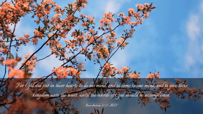 Picture 03 - Revelation 17:17 ASV Desktop Wallpaper - For God did put in their hearts to do his mind, - Desktop Bible Verse Wallpaper