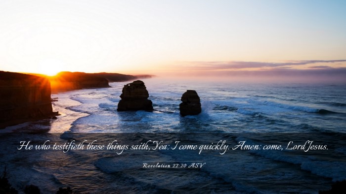 Picture 03 - Revelation 22:20 ASV Desktop Wallpaper - He who testifieth these things saith, Yea: I come - Desktop Bible Verse Wallpaper