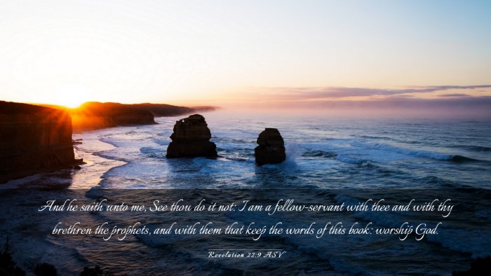 Picture 03 - Revelation 22:9 ASV Desktop Wallpaper - And he saith unto me, See thou do it not: I am a - Desktop Bible Verse Wallpaper