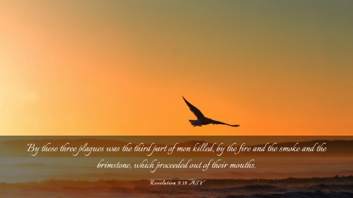 Picture 03 - Revelation 9:18 ASV Desktop Wallpaper - By these three plagues was the third part of men - Desktop Bible Verse Wallpaper