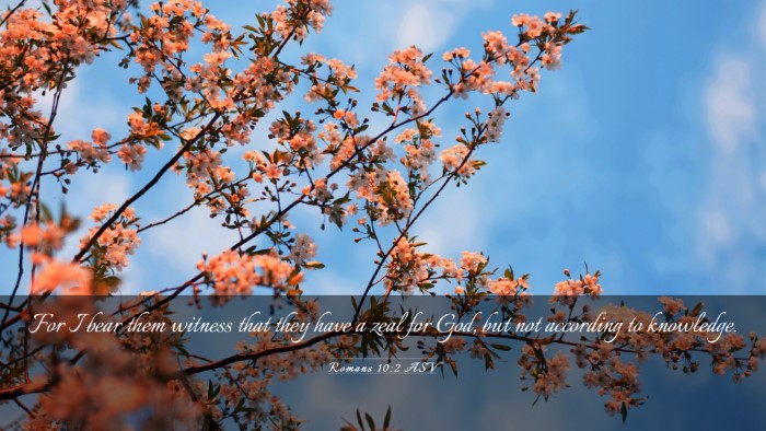 Picture 03 - Romans 10:2 ASV Desktop Wallpaper - For I bear them witness that they have a zeal for - Desktop Bible Verse Wallpaper