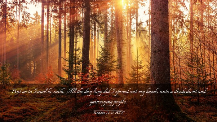 Picture 03 - Romans 10:21 ASV Desktop Wallpaper - But as to Israel he saith, All the day long did I - Desktop Bible Verse Wallpaper