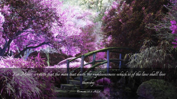 Picture 03 - Romans 10:5 ASV Desktop Wallpaper - For Moses writeth that the man that doeth the - Desktop Bible Verse Wallpaper