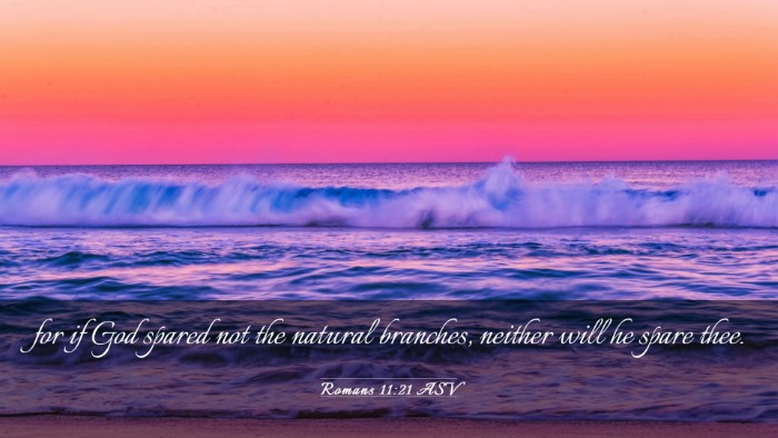 Picture 03 - Romans 11:21 ASV Desktop Wallpaper - for if God spared not the natural branches, - Desktop Bible Verse Wallpaper