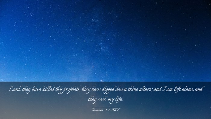 Picture 03 - Romans 11:3 ASV Desktop Wallpaper - Lord, they have killed thy prophets, they have - Desktop Bible Verse Wallpaper