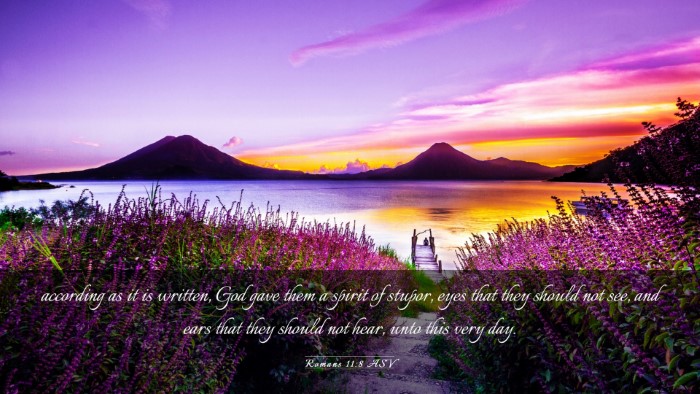 Picture 03 - Romans 11:8 ASV Desktop Wallpaper - according as it is written, God gave them a - Desktop Bible Verse Wallpaper
