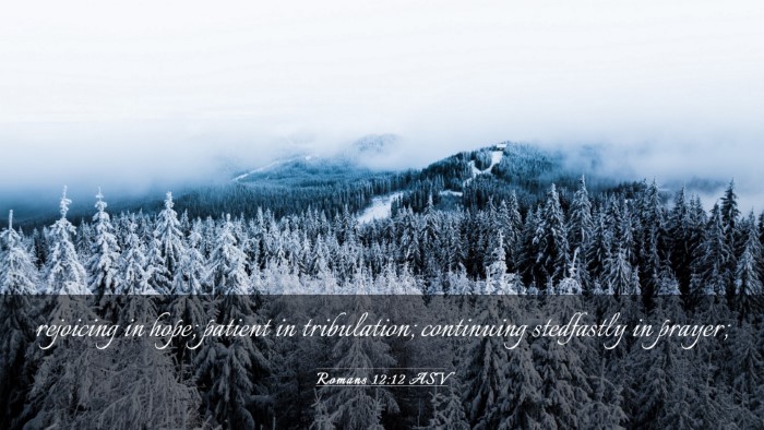 Picture 03 - Romans 12:12 ASV Desktop Wallpaper - rejoicing in hope; patient in tribulation; - Desktop Bible Verse Wallpaper