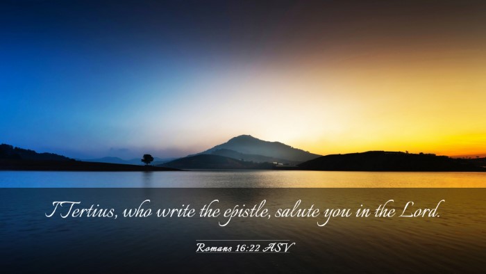 Picture 03 - Romans 16:22 ASV Desktop Wallpaper - I Tertius, who write the epistle, salute you in - Desktop Bible Verse Wallpaper