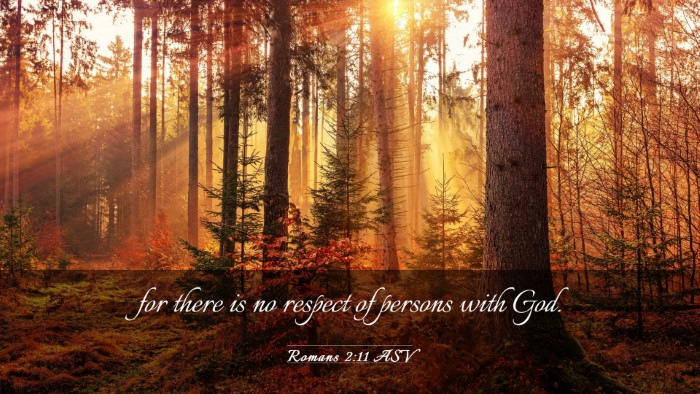 Picture 03 - Romans 2:11 ASV Desktop Wallpaper - for there is no respect of persons with - Desktop Bible Verse Wallpaper