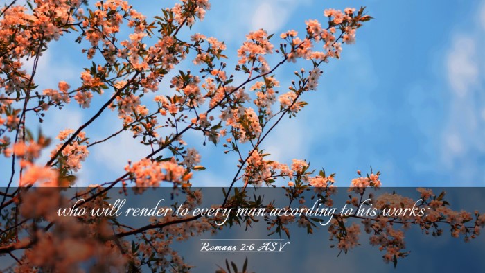 Picture 03 - Romans 2:6 ASV Desktop Wallpaper - who will render to every man according to his - Desktop Bible Verse Wallpaper