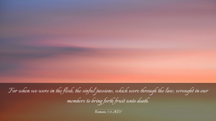 Picture 03 - Romans 7:5 ASV Desktop Wallpaper - For when we were in the flesh, the sinful - Desktop Bible Verse Wallpaper