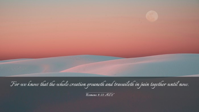 Picture 03 - Romans 8:22 ASV Desktop Wallpaper - For we know that the whole creation groaneth and - Desktop Bible Verse Wallpaper