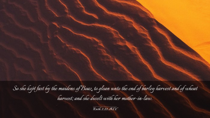 Picture 03 - Ruth 2:23 ASV Desktop Wallpaper - So she kept fast by the maidens of Boaz, to glean - Desktop Bible Verse Wallpaper